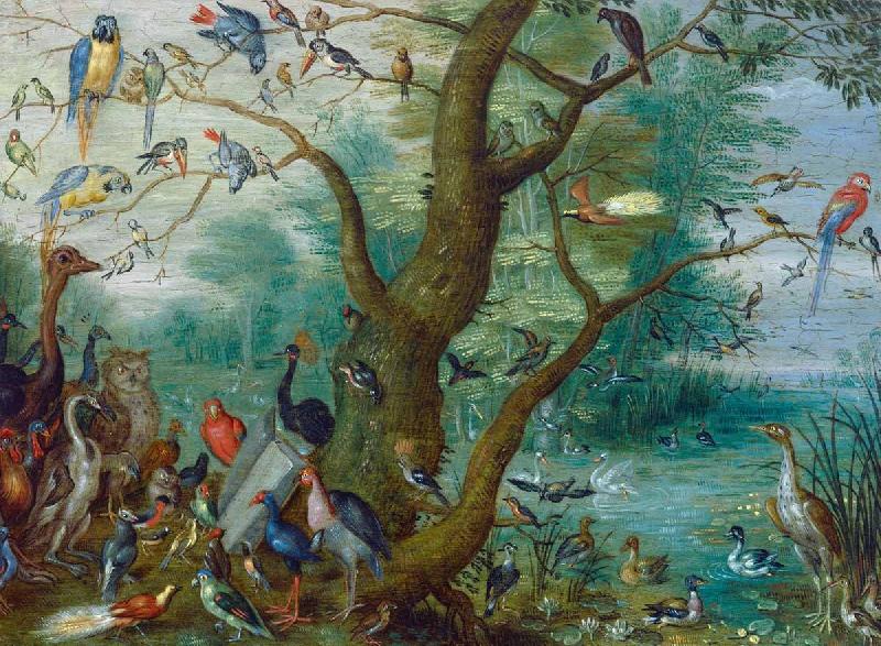 Jan Van Kessel Concert van Vogels oil painting image
